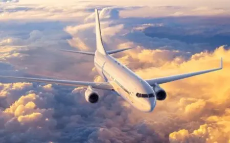 رحلة مدريد – باريس تعود بعد دقائق من الإقلاع بسبب طائر ضخم.. ما القصة؟