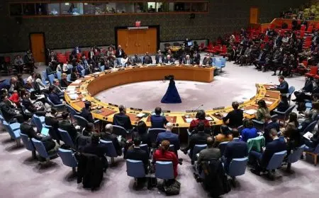 بعد دعوة رئيس أيرلندا.. ماذا يعني تفعيل الفصل السابع من ميثاق الأمم المتحدة ضد إسرائيل؟