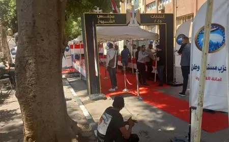 انتخابات مجلس الشيوخ.. انتظام عملية التصويت في لجنة كلية الفنون الجميلة بالزمالك