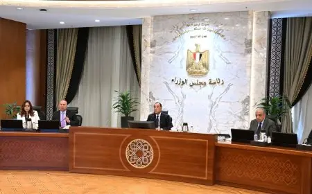 مدبولي يتابع خطة تعديل حدود الكربون لزيادة تنافسية الصادرات