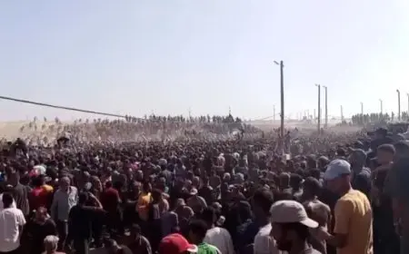 الأمم المتحدة: استشهاد 1500 شخص حاولوا الحصول على الغذاء بغزة