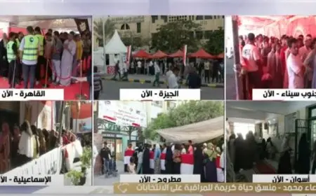 منسقة حياة كريمة لمراقبة الانتخابات: لم نرصد أي مخالفات في انتخابات مجلس الشيوخ