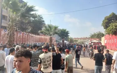 انتخابات الشيوخ.. حالات إعياء بين الموظفين وكثافات عالية في بعض اللجان بالقاهرة والعريش وحلوان