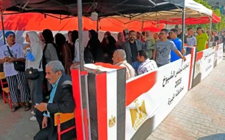 انتخابات الشيوخ.. القومي لحقوق الإنسان: نتعامل مع كل الشكاوى الواردة.. وغرفة عملياتنا جاهزة بالدعم القانوني