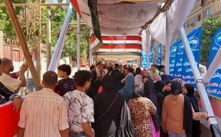 انتخابات الشيوخ 2025.. إقبال ملحوظ وفتح لجان التصويت لليوم الثاني بالمرج