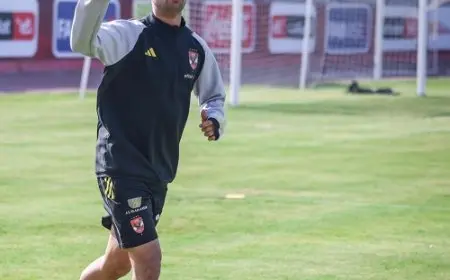 الأهلي ينهي إجراءات إعارة رضا سليم للجيش الملكي