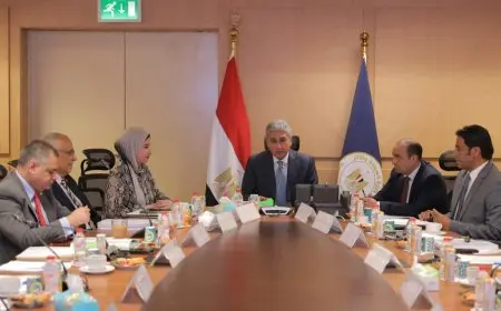 الآثار: مد معرض رمسيس وذهب الفراعنة بطوكيو حتى يناير 2026