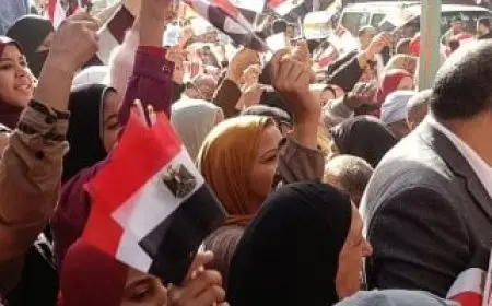 رئيس المنظمة العربية للإدارات الانتخابية يشيد بسهولة عملية الاقتراع بانتخابات مجلس الشيوخ