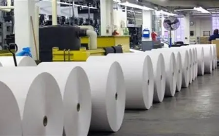 شعبة الورق: انخفاض أسعار الورق المستورد 40% بدءًا من أكتوبر