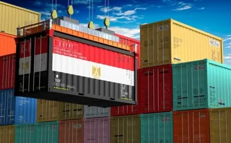 دراسة: على الشركات المصرية تنويع صادراتها رغم الالتزام بآلية الكربون الأوروبية