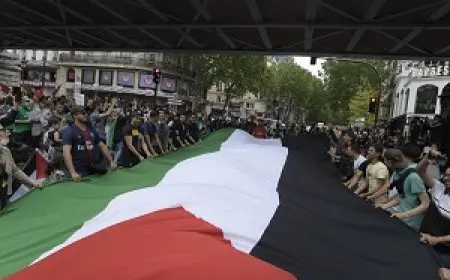 52 ألف توقيع في إيطاليا لدعم الاعتراف بدولة فلسطين ووقف التعاون العسكري مع إسرائيل