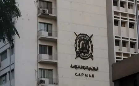 الإحصاء: 634 مليون دولار قيمة التبادل التجاري بين مصر وفيتنام خلال 2024