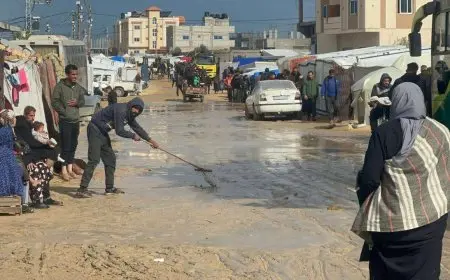 مدير المكتب الإعلامي الحكومي بغزة يحذر من انهيار وشيك للقطاع البيئي والصحي