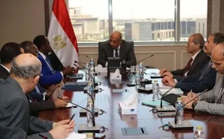مصر تستضيف المؤتمر العام الـ21 لاتحاد مرافق الطاقة الإفريقية APUA