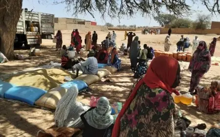 السودان.. برنامج الأغذية العالمي يحذر من أن سكان الفاشر يواجهون خطر الموت جوعا