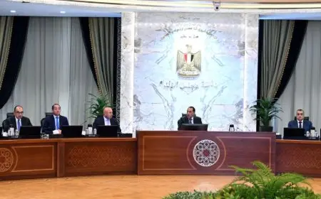 مدبولي: مواصلة جهود حوكمة منظومة تداول الأسمدة والتوسع في ميكنة المزيد من الخدمات
