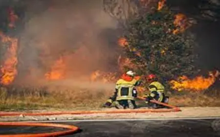 حريق ضخم يلتهم آلاف الأراضي والمزروعات جنوب فرنسا