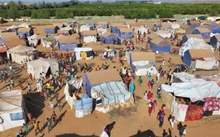 السودان.. قوات الدعم السريع تخلي مخيم زمزم للنازحين من سكانه‎