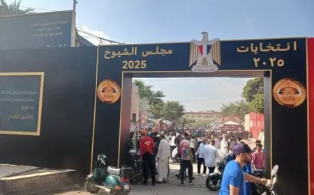 انتخابات مجلس الشيوخ.. غلق لجان دار السلام بعد انتهاء التصويت