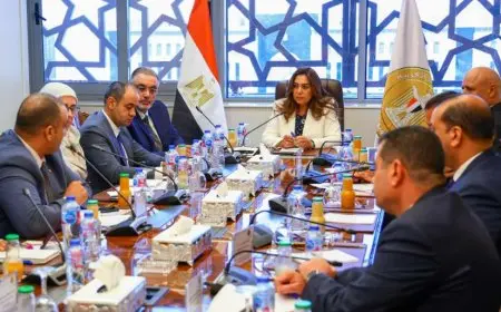 التنمية المحلية تبحث التعاون مع شركة إزري العالمية المتخصصة في نظم المعلومات الجغرافية