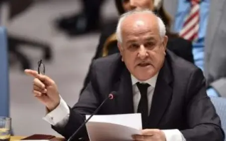 مندوب فلسطين بمجلس الأمن: إسرائيل ترد على دعوات العالم للسلام باحتلال غزة وتجويع شعبنا