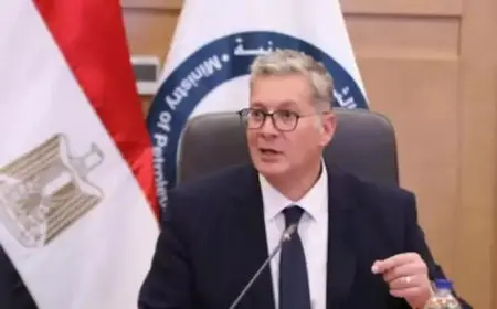 وزير البترول يعين محمود عبد الحميد عضواً منتدباً تنفيذياً لشركة إيجاس