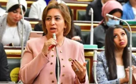 النائبة مها عبدالناصر: زبادة أسعار خدمات الصحة النفسية قرار غير مسئول