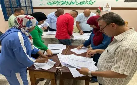 اللجنة العامة تعلن الحصر العددي لأصوات الناخبين في انتخابات الشيوخ بقنا