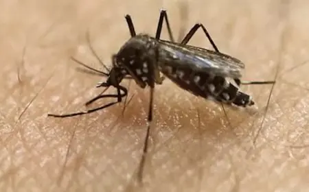 لمواجهة فيروس شيكونجونيا.. الصين تستنفر وتطلق حملة موسعة لتعقّب البعوض بالطائرات