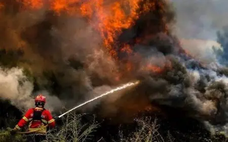 بسبب الحريق.. إخلاء فنادق ومناطق سكنية بجنوب إسبانيا