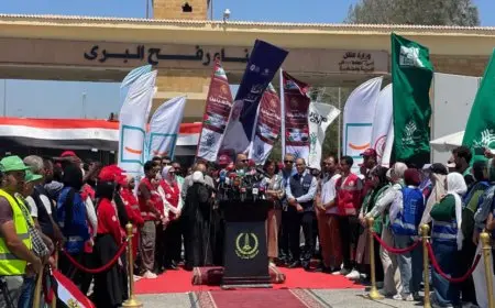 نبيلة مكرم عبيد تستعرض أمام معبر رفح جهود مصر لدعم غزة: 200 شاحنة جاهزة للتسليم