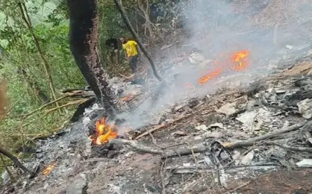 صور وفيديو | تحطم مروحية في غانا يودي بحياة وزيري الدفاع والبيئة و6 آخرين