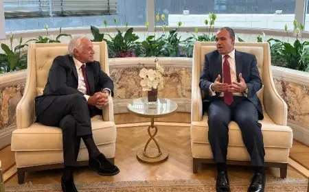 عبدالعاطي يلتقى مالك ورئيس مجلس إدارة مجموعة الشركات المعنية بتنفيذ مشروع الربط الكهربائى بين مصر واليونان