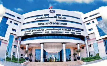 مصر تضع خطة لـ5 سنوات لزيادة مساهمة الاستثمارات الأجنبية المباشرة فى الناتج المحلى