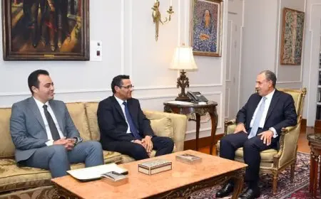 ما تفاصيل لقاء وزير الخارجية ونقيب الصحفيين ورئيس لجنة الشئون العربية؟