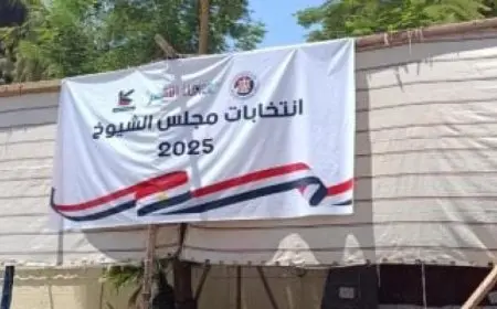 الهيئة العليا للانتخابات بالغربية تعلن نتيجة انتخابات مجلس الشيوخ
