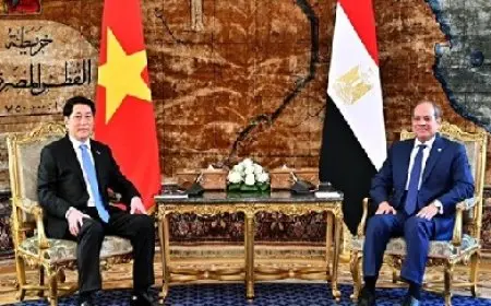 حماة الوطن: استقبال السيسي لرئيس فيتنام يعكس مكانة مصر الدولية