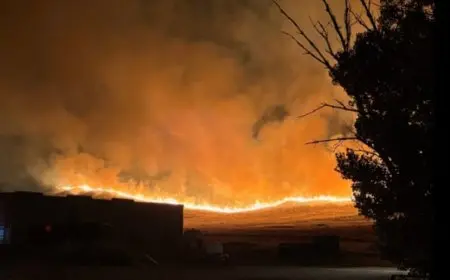 حريق كاليفورنيا الهائل يصبح أكبر حريق تشهده الولاية في 2025