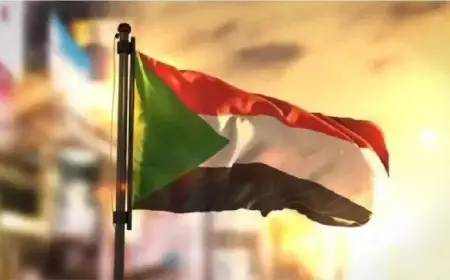 آلاف العائلات تواجه خطر المجاعة بالفاشر السودانية وتقارير عن “تفشٍ كبير” للكوليرا غربي البلاد