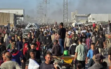 الأونروا: لا يمكن استمرار قتل الفلسطينيين أثناء محاولتهم جلب الطعام