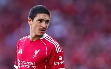 نونيز يقترب من الانتقال إلى الهلال السعودي في صفقة ضخمة