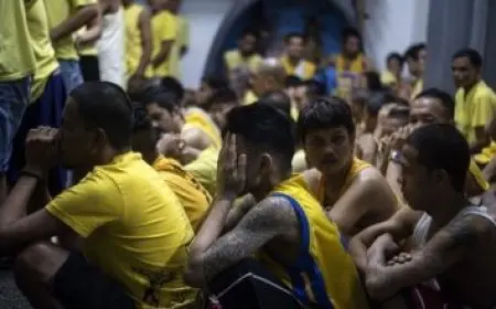 سوق بلا بلاستيك.. مبادرة عمانية لتقليل استخدام الأكياس البلاستيكية في الأسواق الشعبية