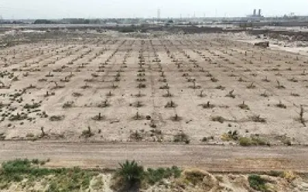 العراق يتجه إلى تعليق الخطة الزراعية المقبلة بسبب الجفاف