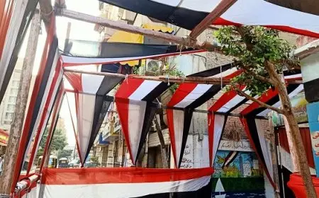 الوطنية للانتخابات تبدأ الفصل في التظلمات على قرارات اللجان العامة بانتخابات مجلس الشيوخ 2025