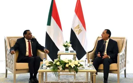 مصر تؤكد دعمها حكومة السودان وتشدد على ضرورة استدامة التنسيق والتشاور حول مختلف القضايا