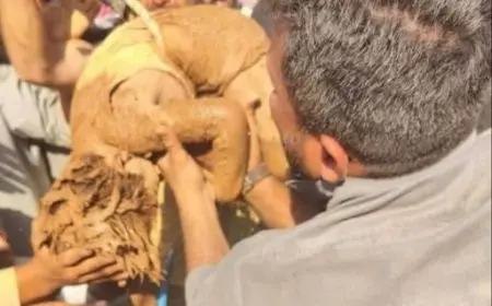 إنقاذ طفل سوري سقط داخل بئر ماء عمقها نحو 60 مترا في ريف الرقة الشمالي بسوريا