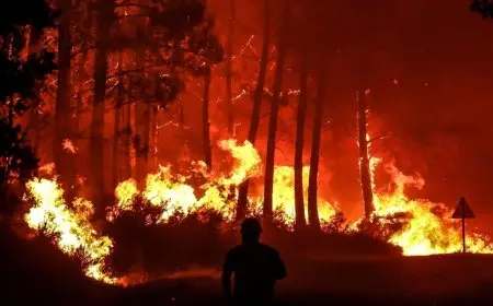خدمات الإطفاء: الطقس قد يساعد في السيطرة على حريق بجنوب فرنسا