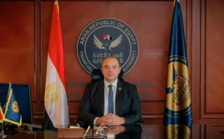 الرئيس السيسي يجدد تكليف محمد فريد برئاسة هيئة الرقابة المالية للعام الرابع بدرجة وزير