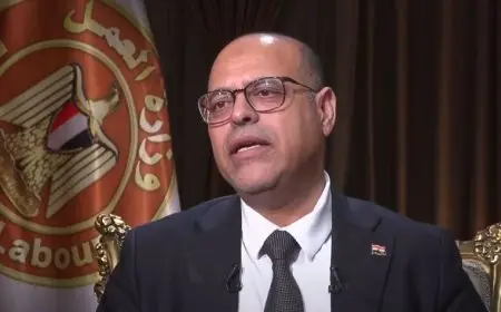 وزير العمل: فصل العامل سيكون من المحكمة.. لا يوجد فصل من صاحب منشأة