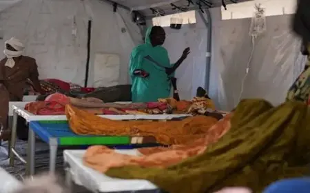“بين المجاعة والأوبئة”.. كيف تُصارع عائلات الفاشر السودانية الموت تحت حصار الحرب؟